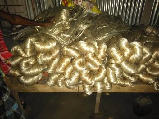 Golden Jute in farmer's house