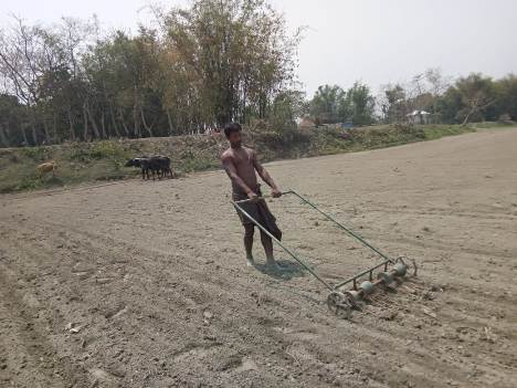 Line sowing of jute seed using seed drill machine Line sowing of jute seed using seed drill machine